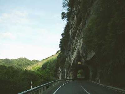 One great poem to read today: Mark Doty’s “Visitation”