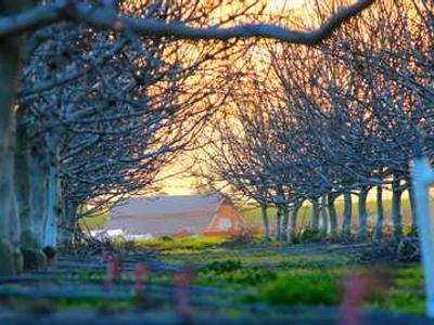 Midnight Motorbike: A Lullaby of Wonder for the Sleepless, Inspired by the Whimsy of South India