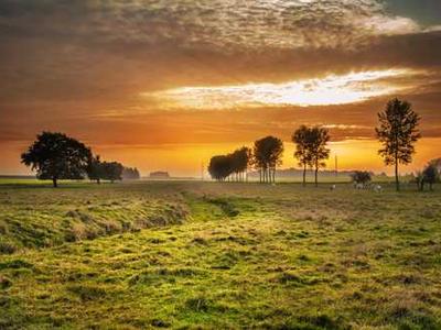 Why You Should Only Work 3–4 Hours a Day, Like Charles Darwin, Virginia Woolf & Adam Smith