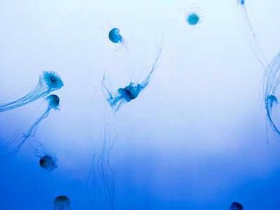 What Should You Read Next? Here Are the Best Reviewed Books of the Week