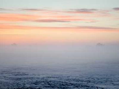 One great poem to read today: Mark Doty’s “Visitation”