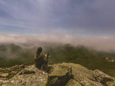 Can Bibliotherapy Heal the Pain of the World? 