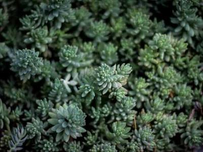 Tech Marketing Framework