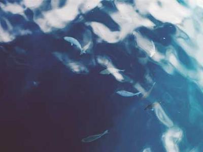 5 Ways to Show Your Library Love This Month