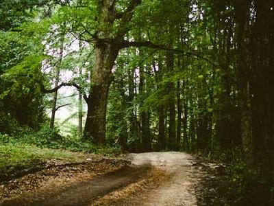 It’s Harder and Harder to Be a Magazine on the Internet—Please Help