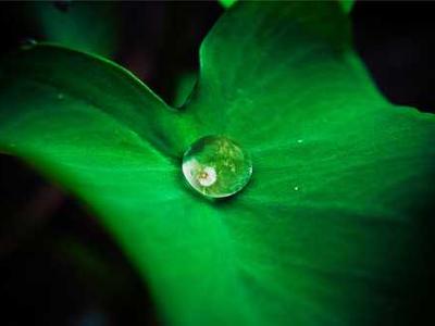 Beatitude: Poet John Keene’s Spell Against Despair