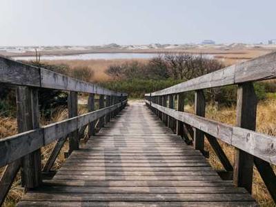 The Ultimate Best Books of 2025 List