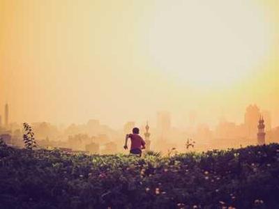 Meet These Delightful Bookshop Cats (and One Dog!)