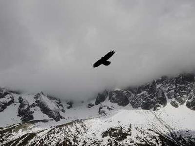 How Amazing Stories Served as the Blueprint for American Science Fiction