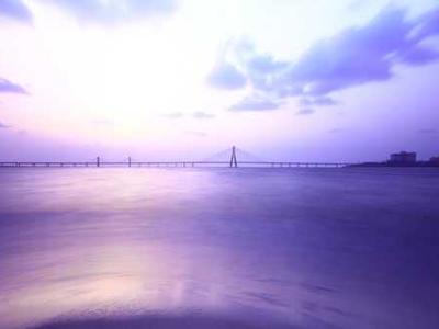 Midnight Motorbike: A Lullaby of Wonder for the Sleepless, Inspired by the Whimsy of South India