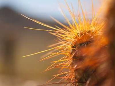 A Nobel Prize-Winner Wrote the Boarding School Book of All Boarding School Books