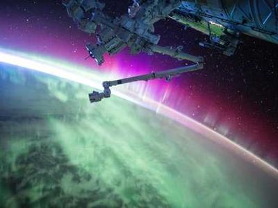 How to Be a Lichen: Adaptive Strategies for the Vulnerabilities of Being Human from Nature’s Tiny Titans of Tenacity