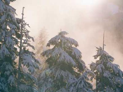 Ten fictional professors ranked by plausibility.