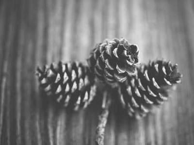 How Movies Created Their Special Effects Before CGI: Metropolis, 2001: A Space Odyssey & More