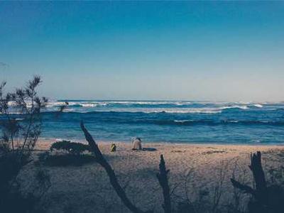 How Movies Created Their Special Effects Before CGI: Metropolis, 2001: A Space Odyssey & More