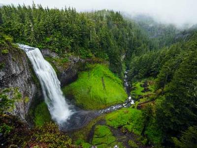 The Magic of Moss and What It Teaches Us About the Art of Attentiveness to Life at All Scales