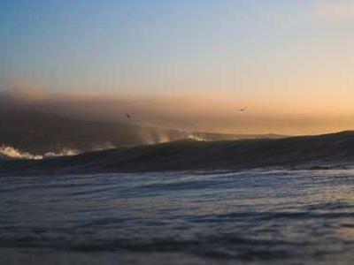 One great poem to read today: Mark Doty’s “Visitation”