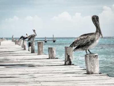 Ode to a Good Pen: Or, How to Write the Book of Love