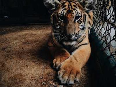 How Many Humans Have Ever Lived, and How Many Are Alive Right Now?