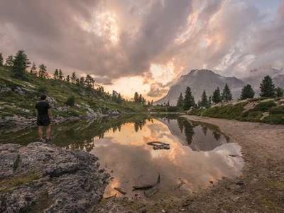 Can Bibliotherapy Heal the Pain of the World? 