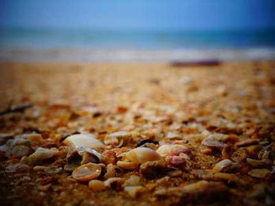 The Samurai Who Became A Roman Citizen