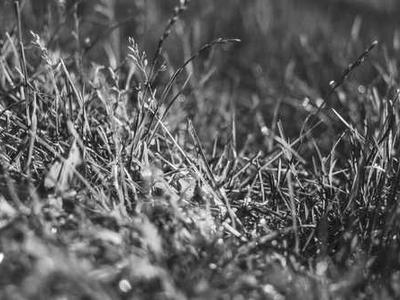 Spells, Skepticism, and Surrender: What Happens When the Agent Becomes the Author