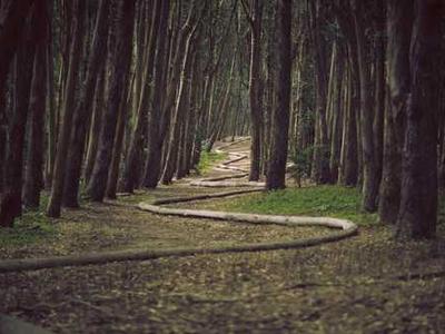 Favorite Books of 2025