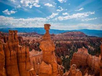 Any Common Desolation