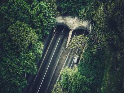 The Day Hermann Hesse Discovered the Meaning of Life in a Tree