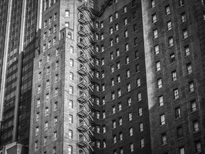 Meet These Delightful Bookshop Cats (and One Dog!)