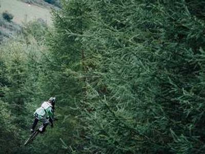 How to Love the World More: Artist and Poet Rachel Hébert’s Breathtaking Catalogue of Gratitudes